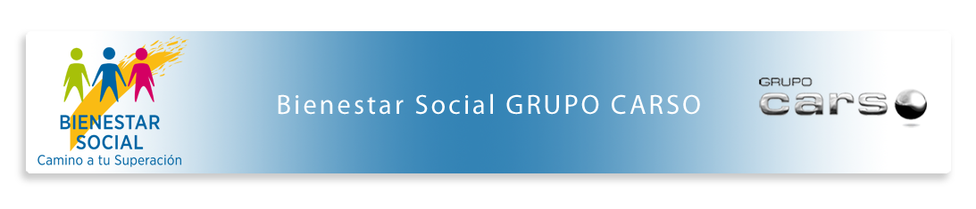 Bienestar Social Fycsa